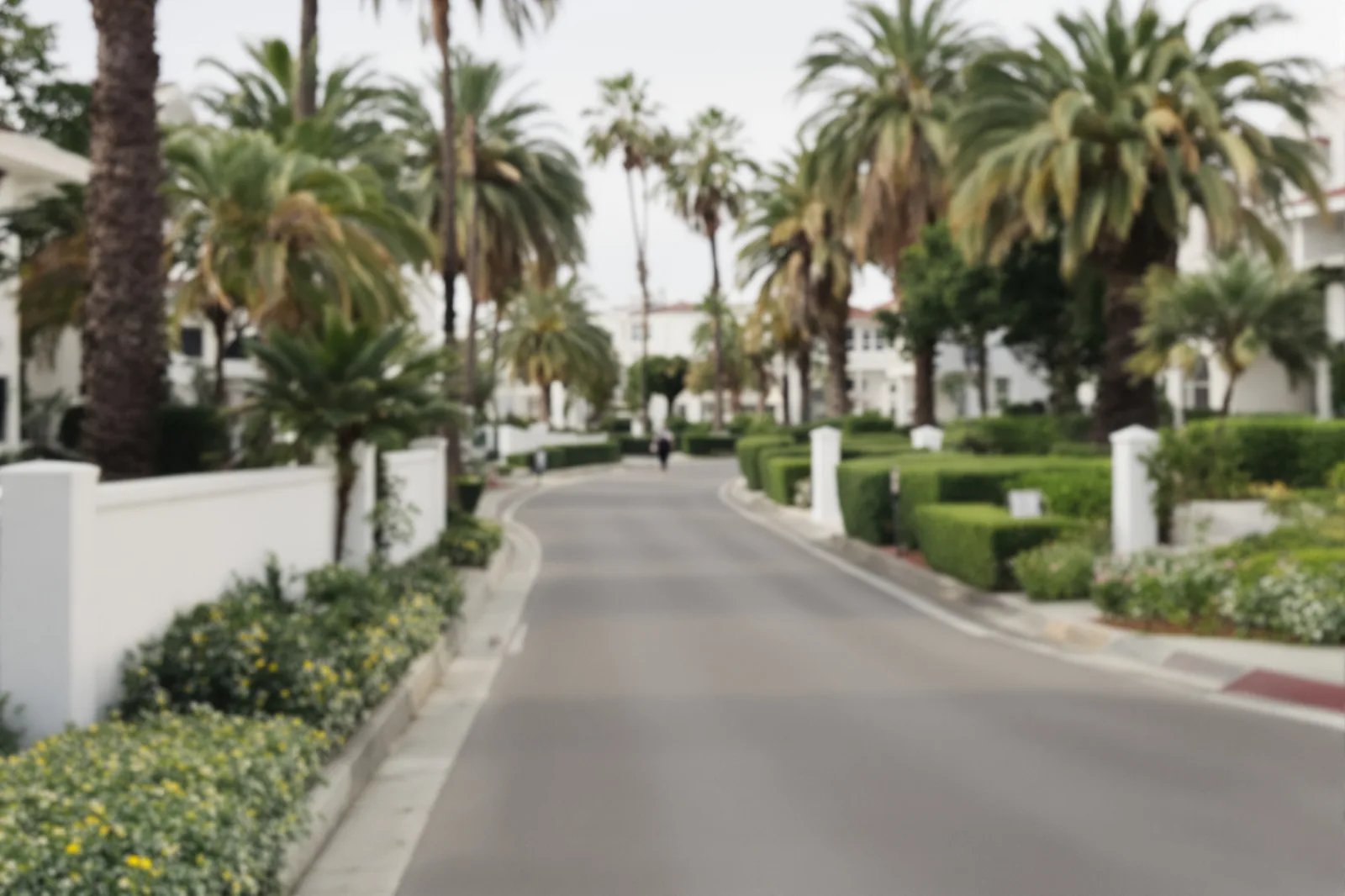 Beverly Hills Marketing Agency