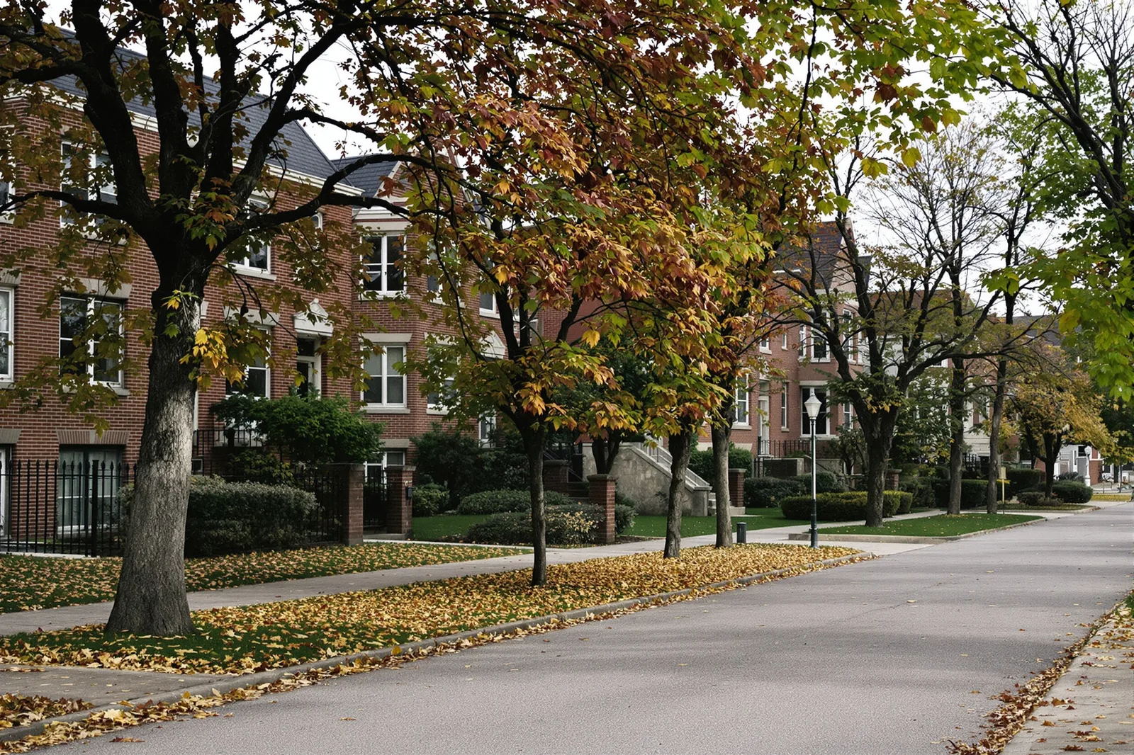 Wheaton Marketing